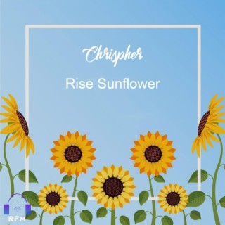 Rise sunflower