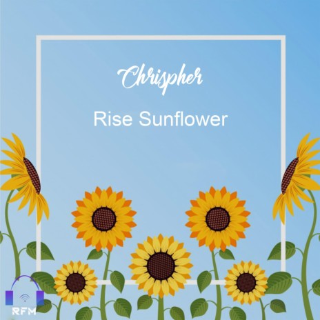 Rise sunflower