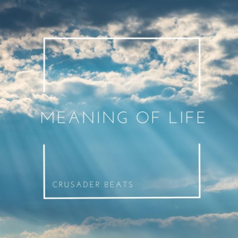 Meaning of Life | Boomplay Music
