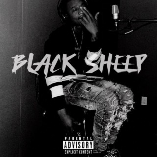 Black Sheep