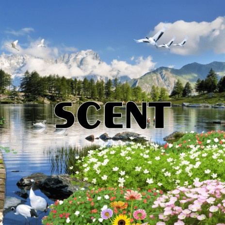 Scent | Boomplay Music