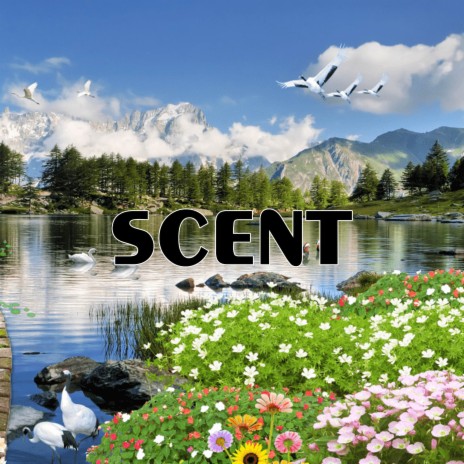 Scent