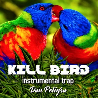 KILL BIRD Instrumental Trap