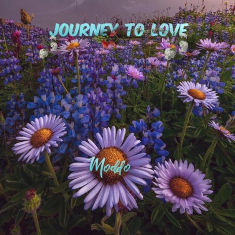 Journey To Love | Boomplay Music