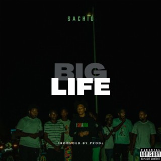 BIG LIFE