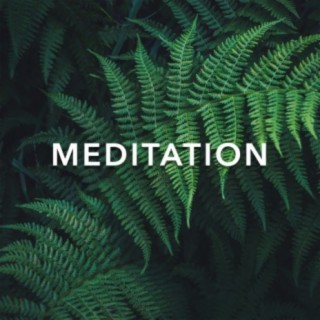 Meditation