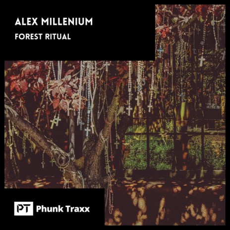 Forest Ritual | Boomplay Music