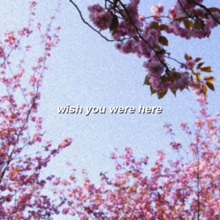 Wish You Were Here