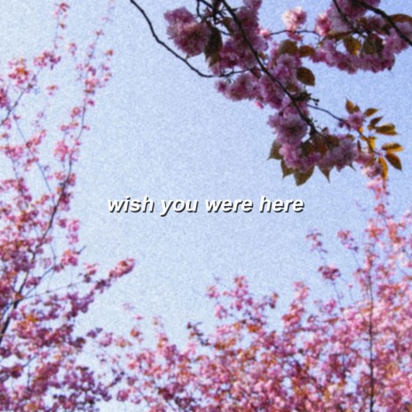 Wish You Were Here ft. bearbare | Boomplay Music