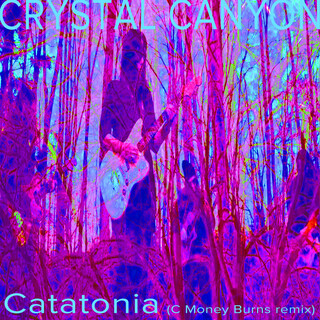 Catatonia (C Money Burns Remix)