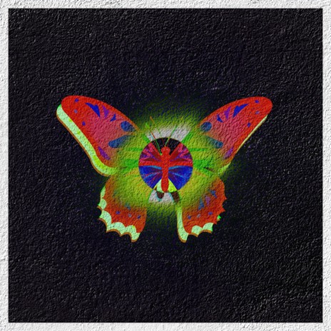 Ugly Butterflies | Boomplay Music