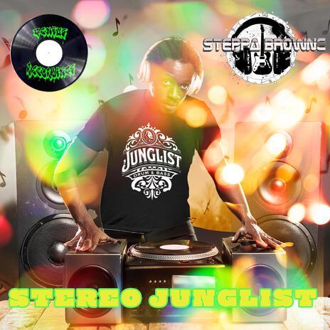 STEREO JUNGLIST | Boomplay Music