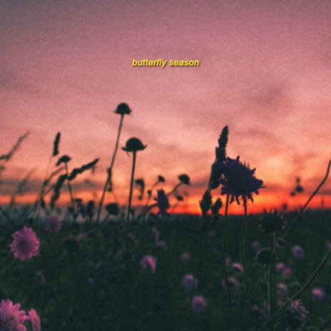 Butterfly Season ft. bearbare | Boomplay Music