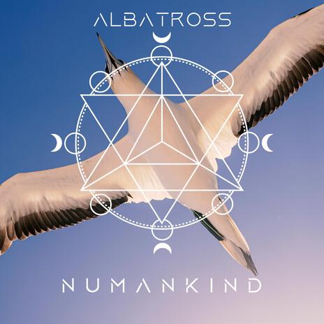 Albatross | Boomplay Music