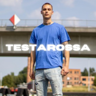 Testarossa lyrics | Boomplay Music