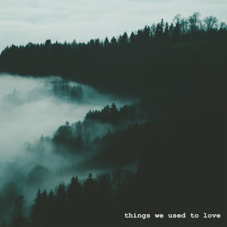 Things We Used To Love | Boomplay Music