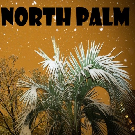 North Palm | Boomplay Music