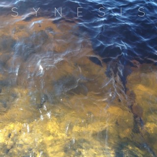 Synesis