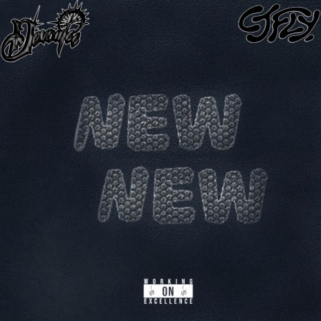 NEW NEW (feat. CJ Fly) | Boomplay Music