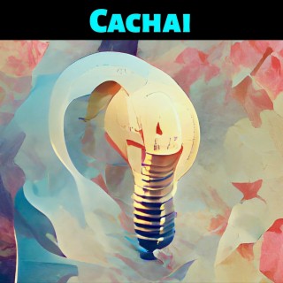 Cachai
