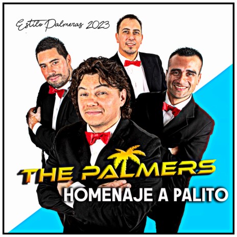 Homenaje a Palito (Cover) | Boomplay Music