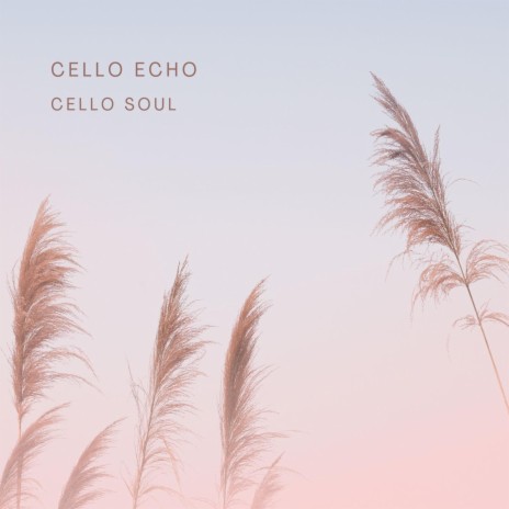 Cello Echo