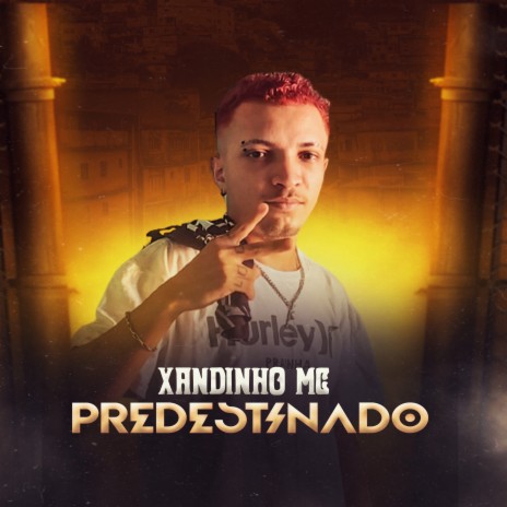 Predestinado (Remix) | Boomplay Music