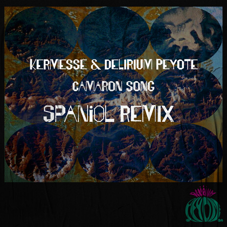 Camarón Song (Spaniol Remix) ft. Delirium Peyote | Boomplay Music