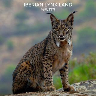 Iberian Lynx Land, Winter (Original Documentary Soundtrack)