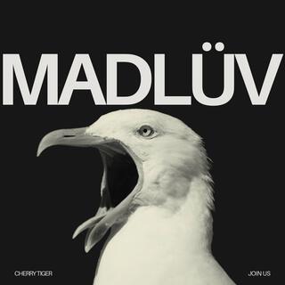 MADLÜV lyrics | Boomplay Music