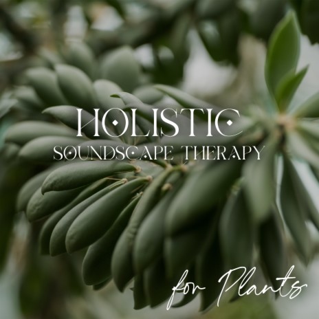 Holistic Healing | Boomplay Music