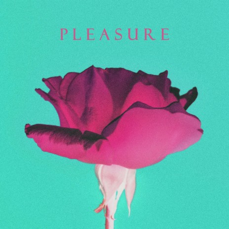 Pleasure ft. bearbare