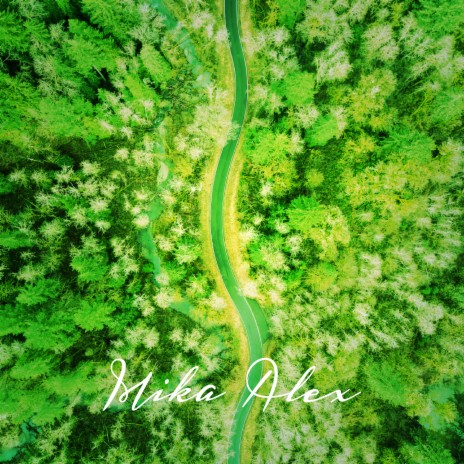 The Wind Forest | Boomplay Music