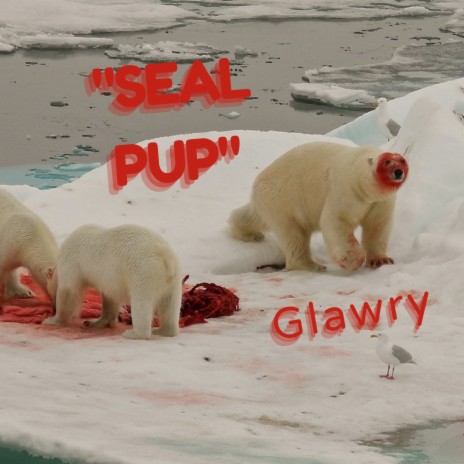 Seal Pup | Boomplay Music