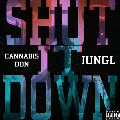 Shut It Down | Boomplay Music