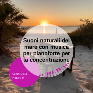 Suoni naturali del mare con musica per pianoforte per la concentrazione