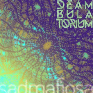 Deambulatorium (Radio Edit) lyrics | Boomplay Music