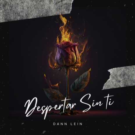 Despertar Sin Ti | Boomplay Music