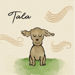 Tala