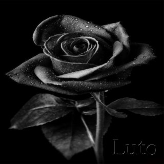 LUTO ft. PAZT lyrics | Boomplay Music