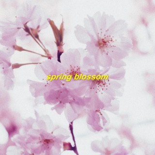 Spring Blossom