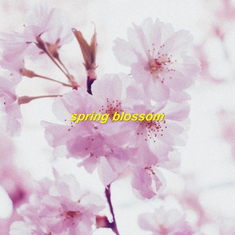 Spring Blossom ft. IWL | Boomplay Music