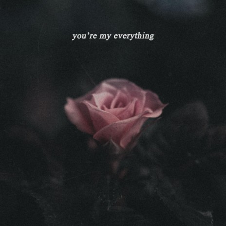 you're my everything ft. bearbare | Boomplay Music