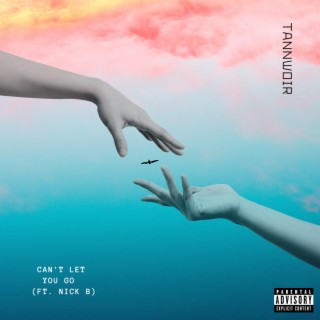 Can't Let You Go ft. Nick B lyrics | Boomplay Music
