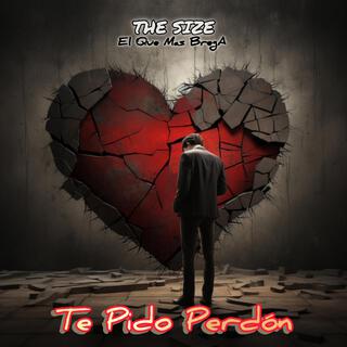 Te Pido Perdón (Special Version)