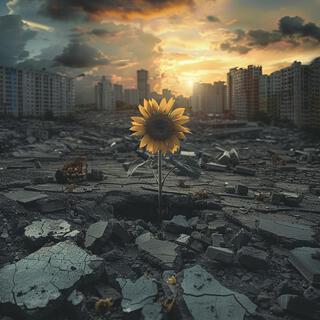 I Looked Out Upon the Vast Expanse of Concrete Desolation and Saw a Distant Flash of Yellow in the Shape of a Sunflower