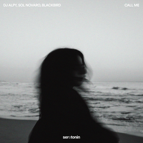 Call Me ft. Sol Novaro & blackbird | Boomplay Music