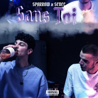 Sans Toi ft. SENEC & LILPUUTE lyrics | Boomplay Music