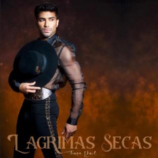 Lagrimas Secas lyrics | Boomplay Music
