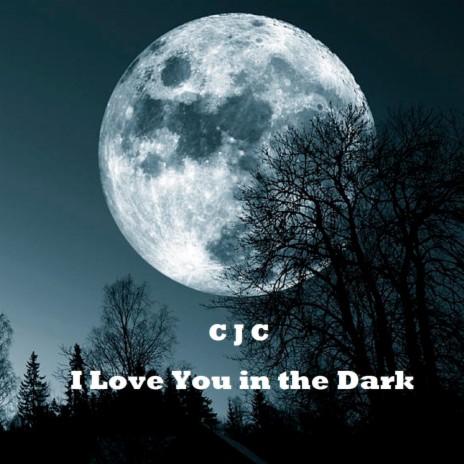 I Love You in the Dark | Boomplay Music